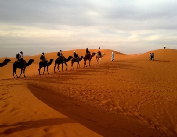 Chalbi Desert Safari