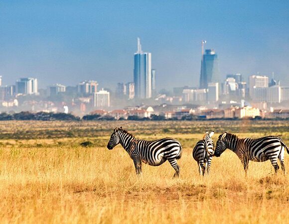 Nairobi National Park