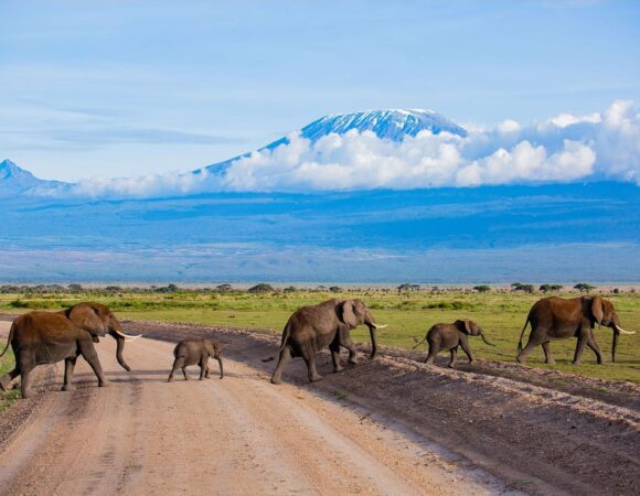 Amboseli National Park